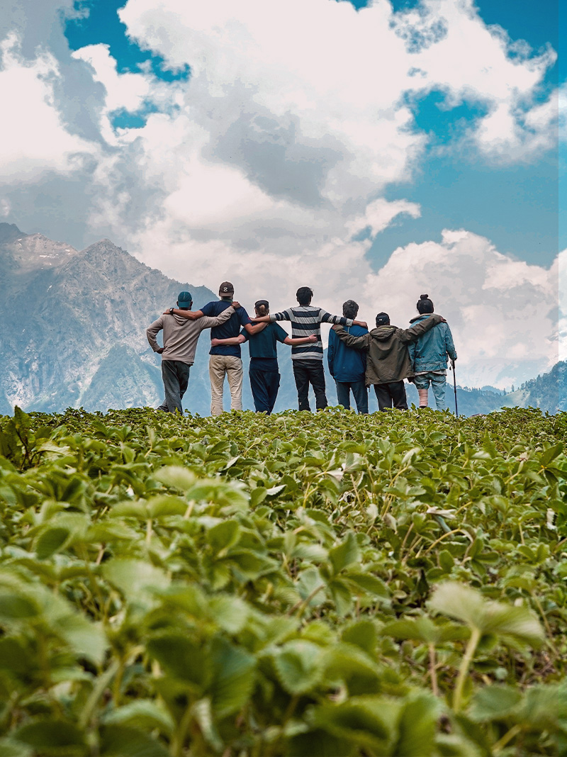 Group Tours